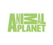 Animal Planet